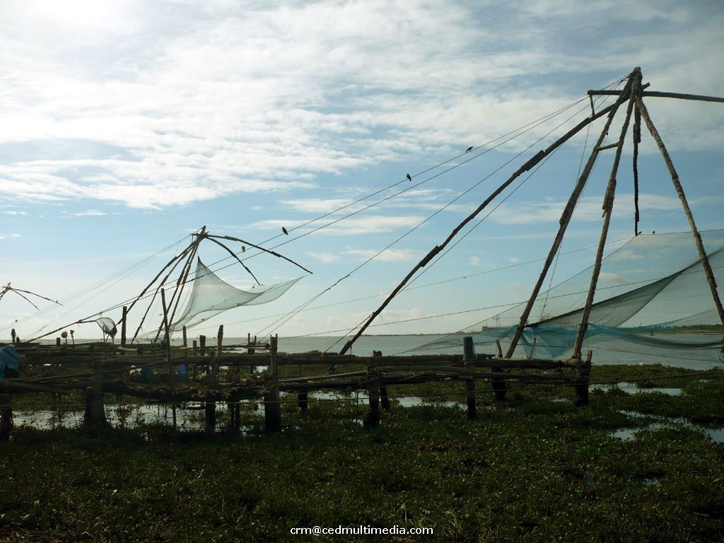 fishingnets3.jpg