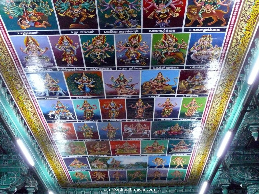 meenakshi12.jpg