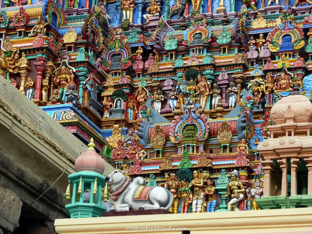 meenakshi13.jpg