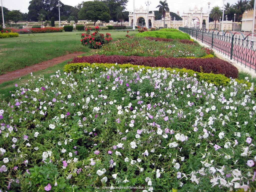 palace16.jpg